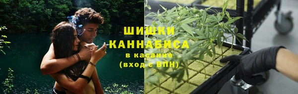 спиды Вяземский