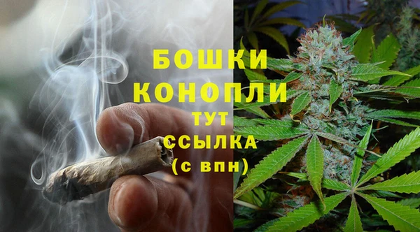 спиды Вяземский
