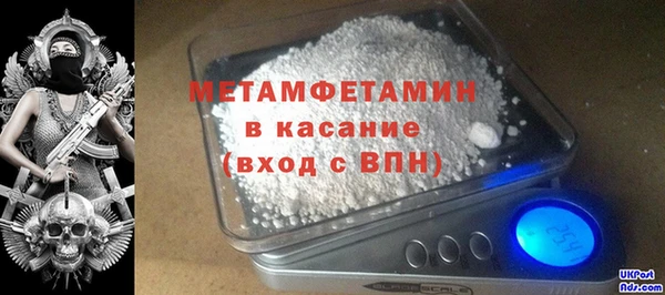 прущие грибы Волосово