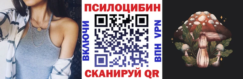 Купить  Кинель  Псилоцибиновые грибы Psilocybine cubensis 